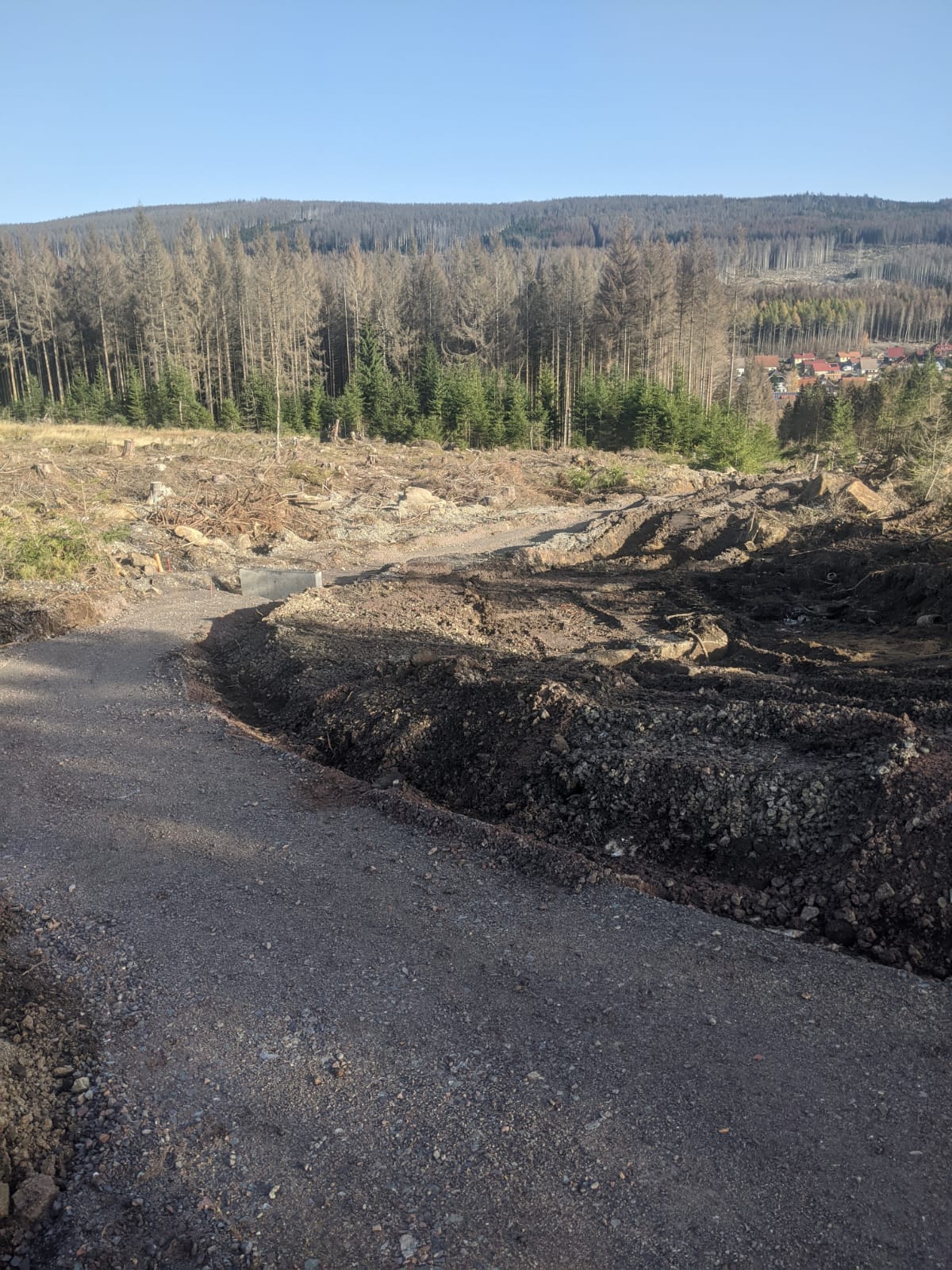 WhatsApp Image 2020-11-08 at 15.26.36